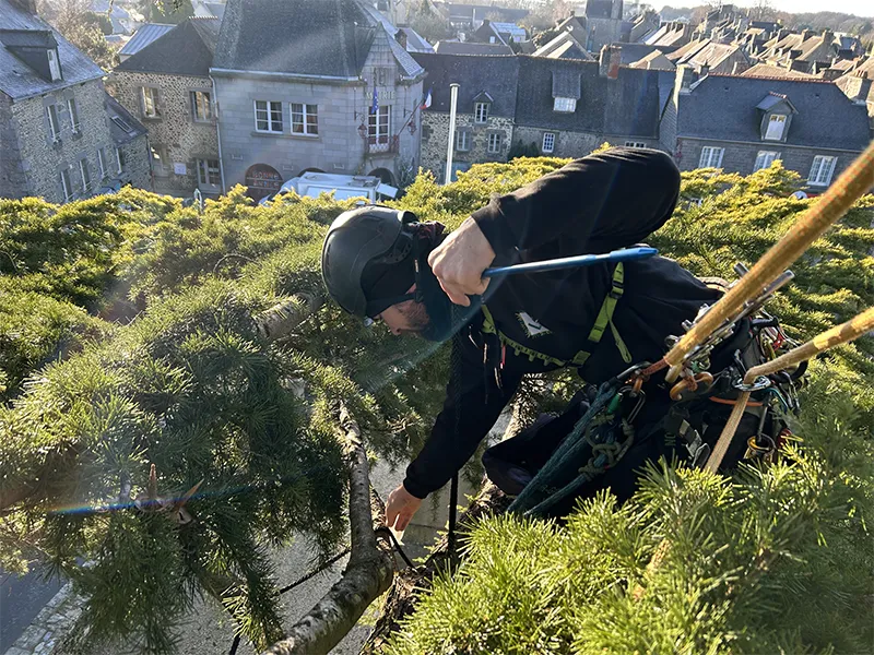abattage d’arbre tinteniac