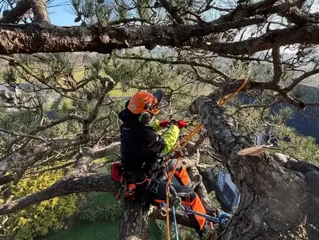 amenagement exterieur Betton-5