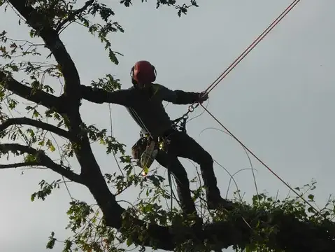 amenagement exterieur à Dinard - image 3