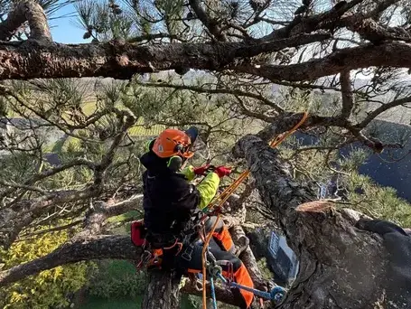amenagement exterieur Dol-de-Bretagne-5