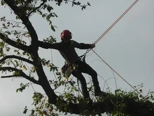 amenagement exterieur La Mézière-5