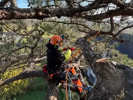 amenagement exterieur à Melesse - image 4