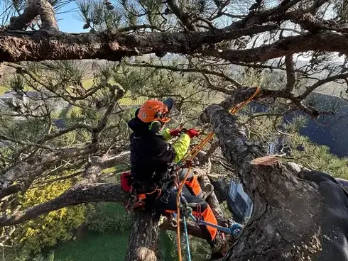 amenagement exterieur Saint-Grégoire-1
