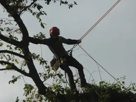 amenagement exterieur Tinténiac-1