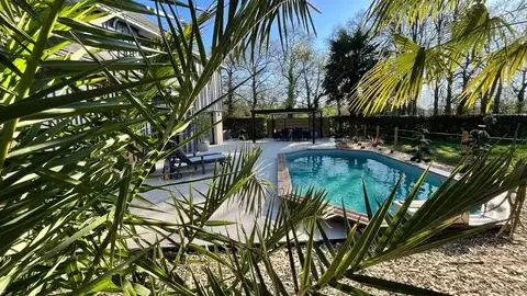 arboriste à La Mézière - image 3