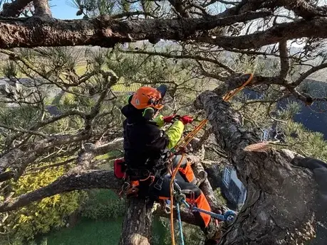 conception paysagere à Betton - image 2