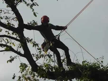 conception paysagere Betton-5