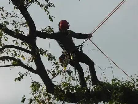 conception paysagere Dinard-1