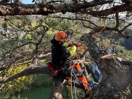 conception paysagere Dinard-5