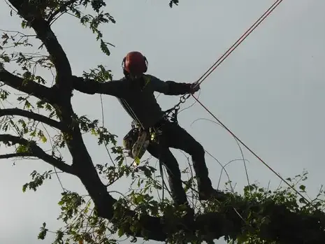 conception paysagere à La Mézière - image 4