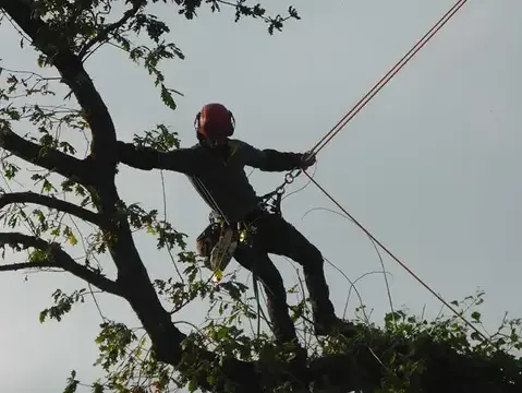 conception paysagere à Melesse - image 3