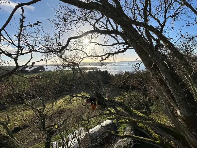 conception paysagere miniac morvan