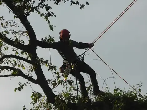 conception paysagere Saint-Grégoire-1