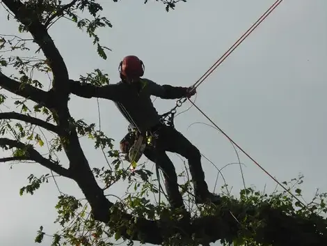 construction de terrasse à Betton - image 3