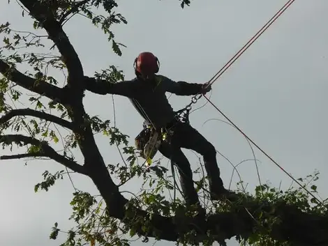 construction de terrasse à Dinard - image 3