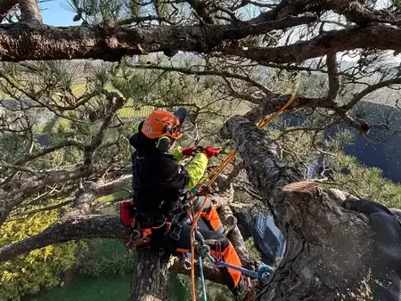 construction de terrasse à Dol-de-Bretagne - image 2