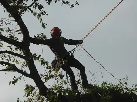 construction de terrasse Dol-de-Bretagne-5