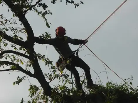 construction de terrasse La Mézière-1