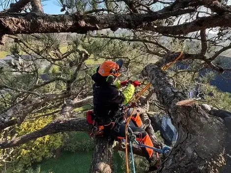 construction de terrasse à La Mézière - image 2