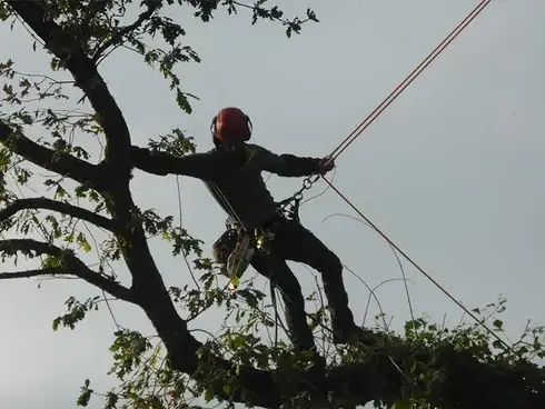 construction de terrasse Melesse-1