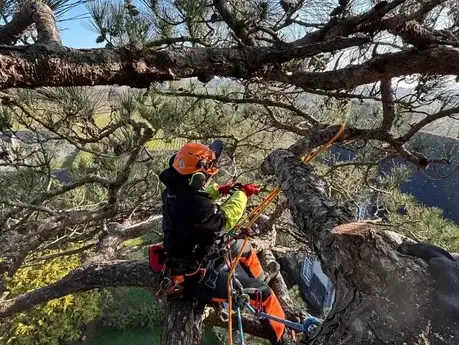 construction de terrasse à Melesse - image 2