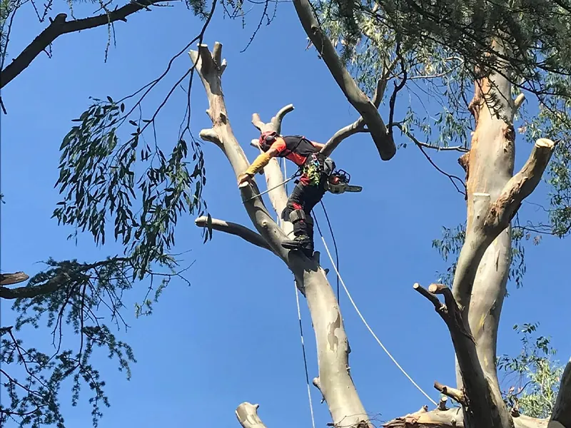 construction de terrasse pleugueneuc
