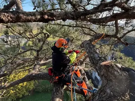 construction de terrasse Saint-Grégoire-5