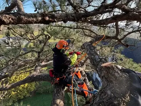 construction de terrasse à Tinténiac - image 2