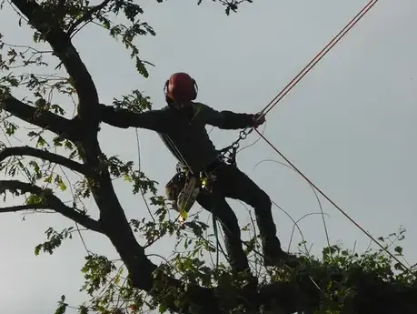construction de terrasse à Tinténiac - image 4