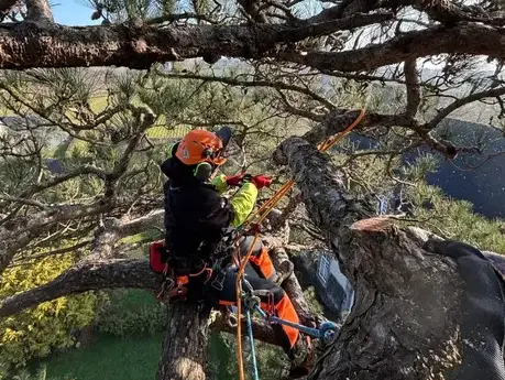 cordiste à Betton - image 2