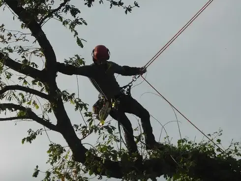 cordiste à Dinard - image 2