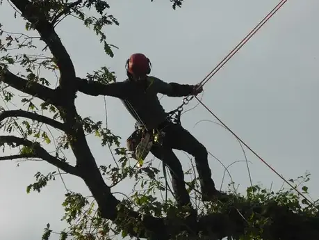 cordiste Mesnil-roc'h-5