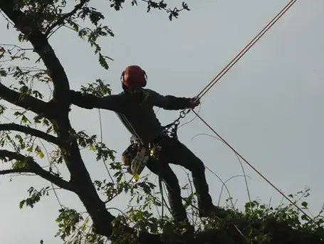 cordiste Saint-Grégoire-1