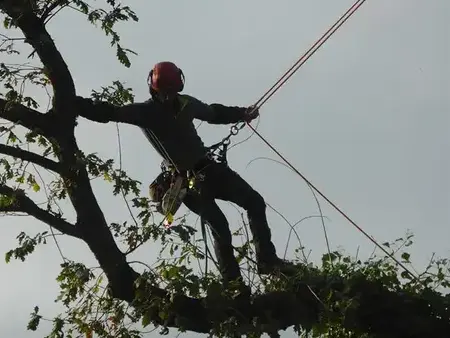 cordiste Saint-Malo-1
