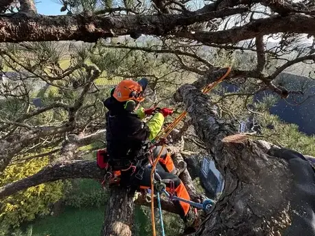 création de jardin à Betton - image 3