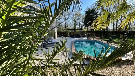 création de jardin à Mesnil-roc'h - image 4