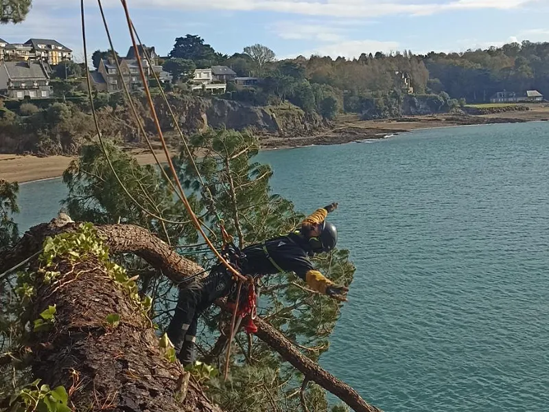 creation de jardin saint malo