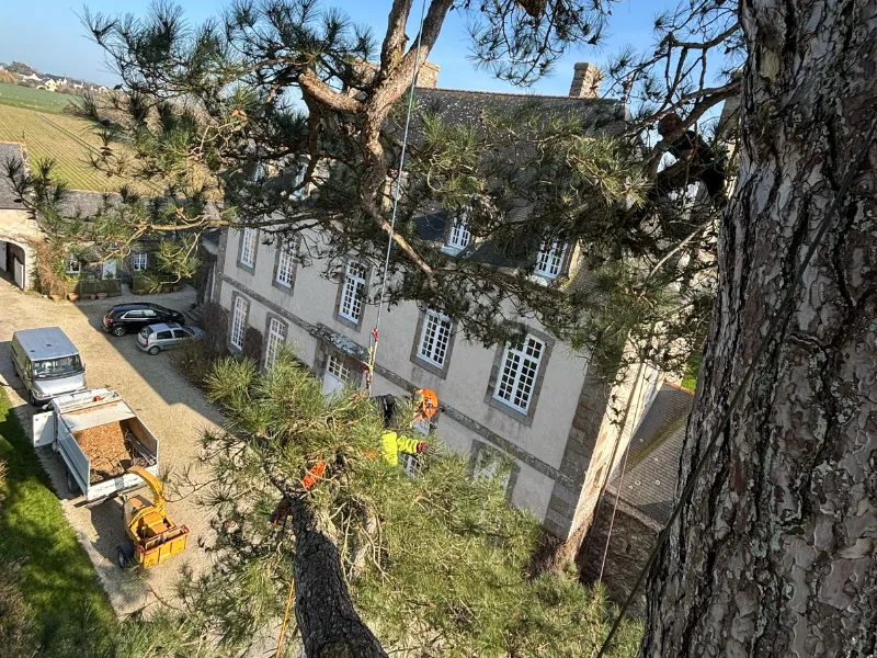 elagueur saint pierre de plesguen