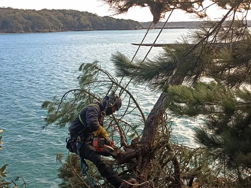 pavage miniac morvan