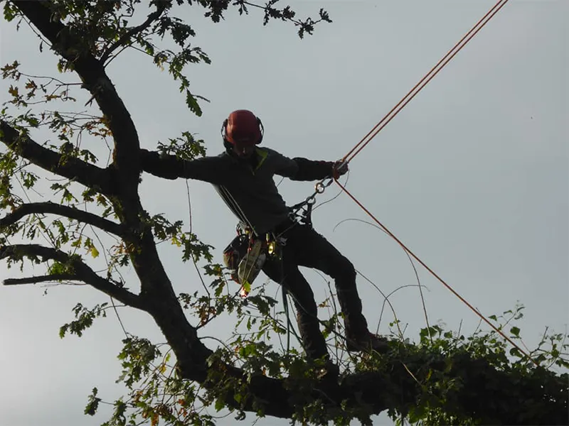 paysagiste pleslin trigavou