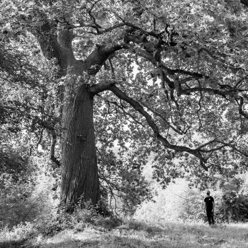 paysagiste pleslin trigavou