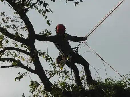 paysagiste Saint-Grégoire-5