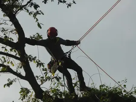 pose cloture Betton-5