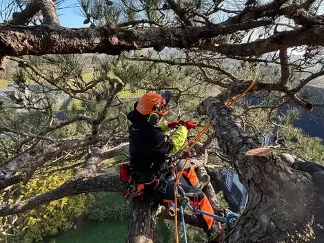 pose cloture Combourg-1