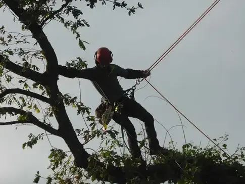 pose cloture à Combourg - image 4