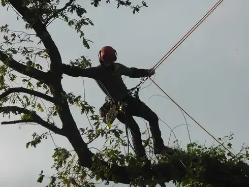 pose cloture Dinan-5