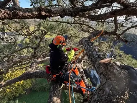 pose cloture Dinard-5