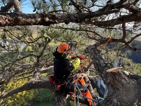 pose cloture à Dol-de-Bretagne - image 3