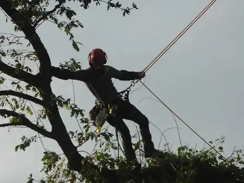 pose cloture Dol-de-Bretagne-5