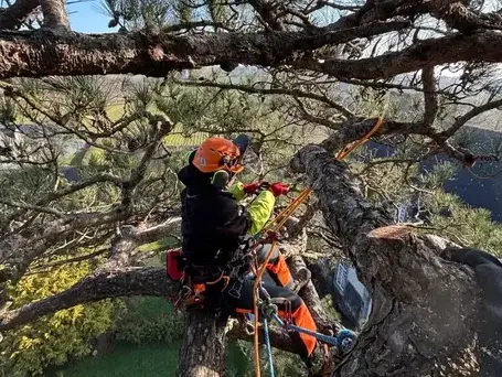 pose cloture La Mézière-5